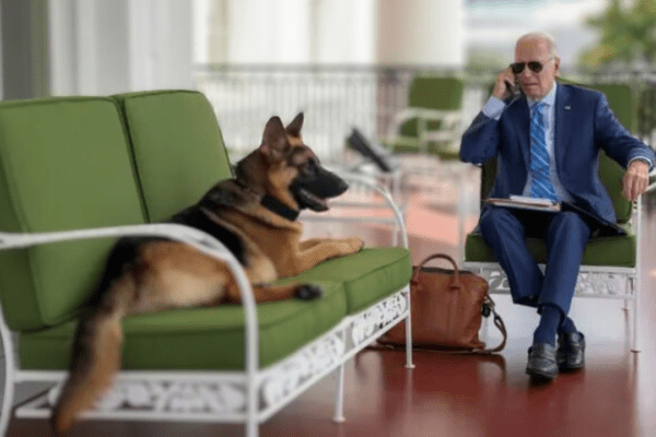Qeni i Joe Biden dërgoi agjentin e shërbimit sekret në spital, kafshoi 6 të tjerë