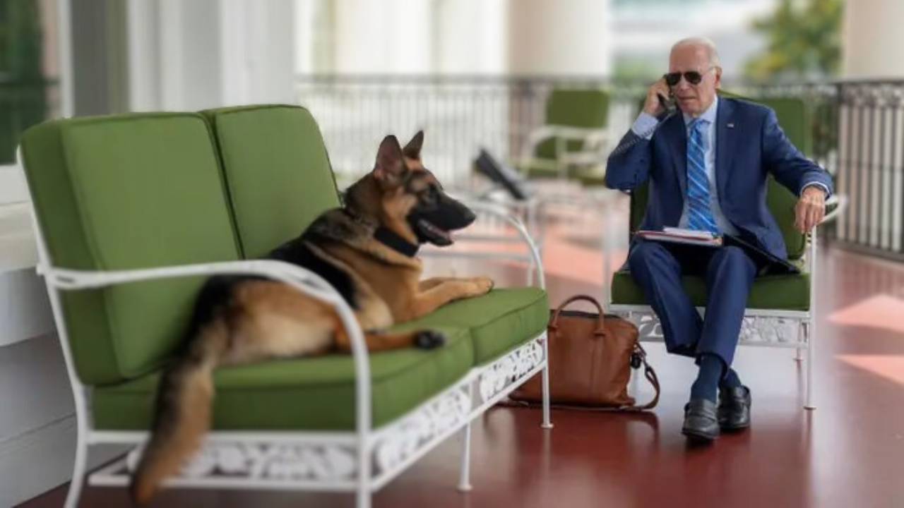 Qeni i Joe Biden dërgoi agjentin e shërbimit sekret në spital, kafshoi 6 të tjerë